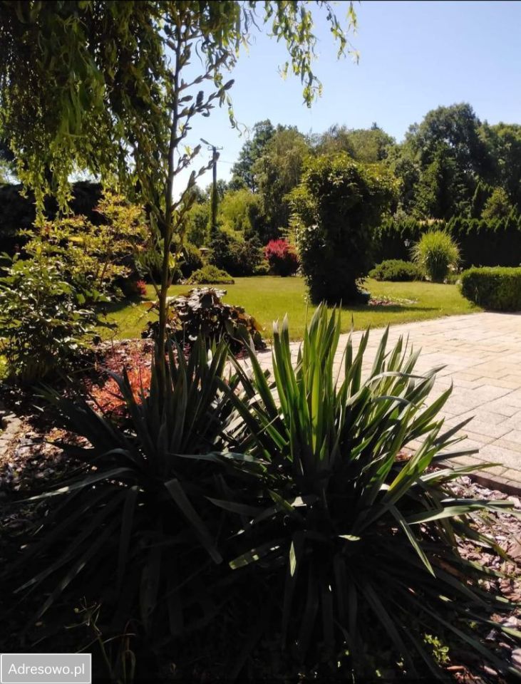 dom wolnostojący, 6 pokoi Niestum, ul. Kasztanowa. Zdjęcie 3