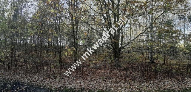 Działka budowlana Szczęsne. Zdjęcie 2