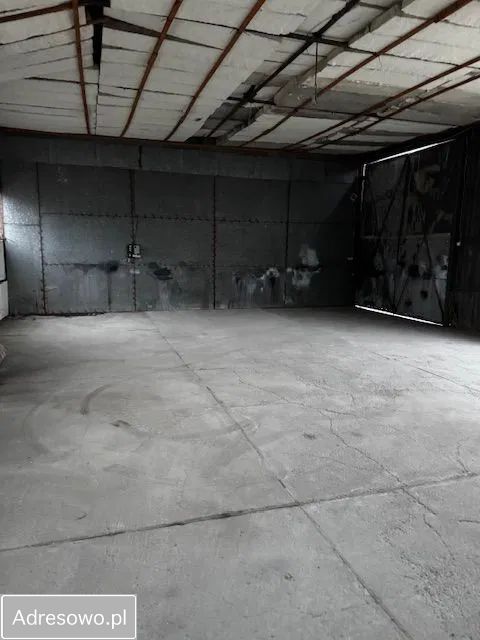 Hala/magazyn Żywiec. Zdjęcie 4