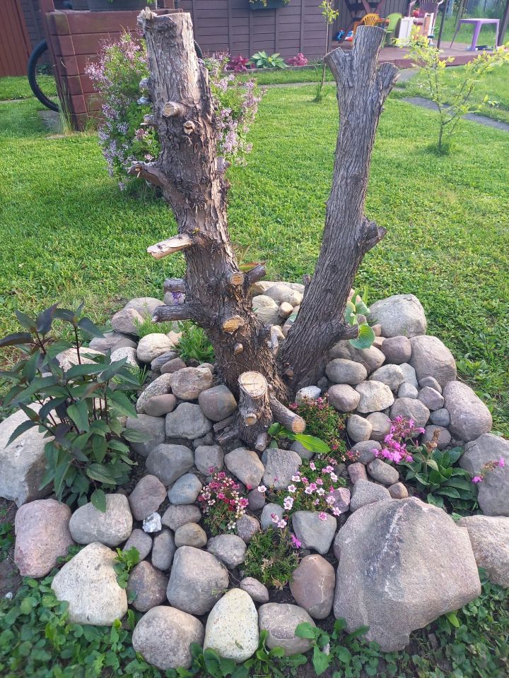 Działka rod Ostrów Wielkopolski, ul. Strzelecka. Zdjęcie 6