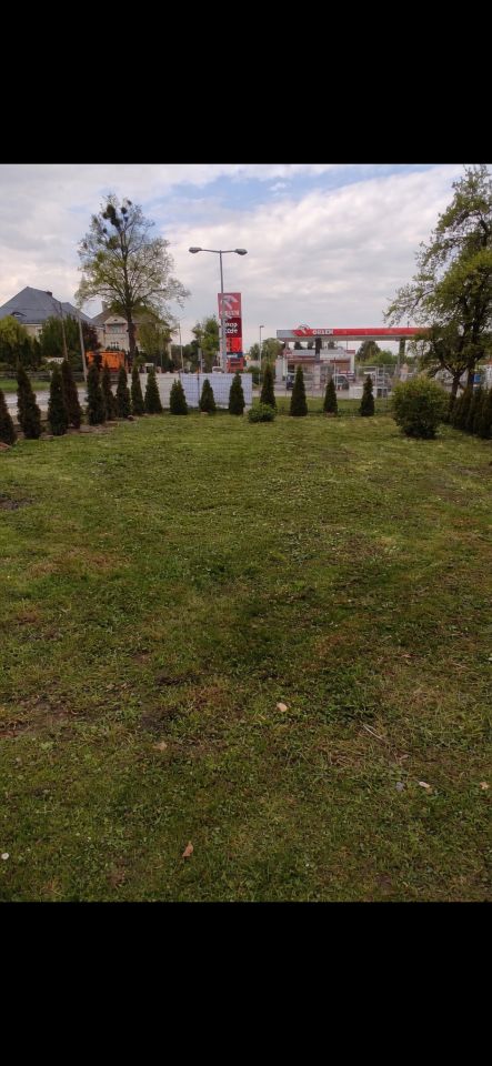 dom wolnostojący, 5 pokoi Głogówek Winiary, Dworcowa 31. Zdjęcie 3