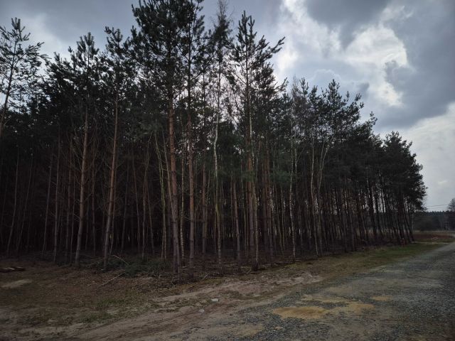 Działka budowlana Jaźwiny. Zdjęcie 1