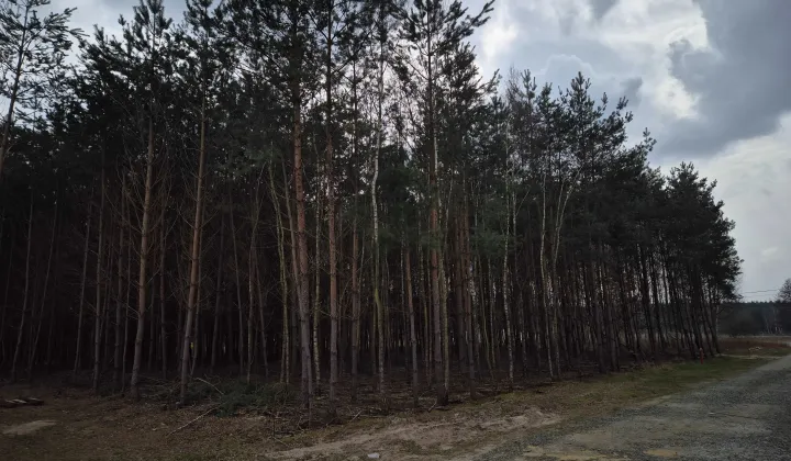 Działka budowlana Jaźwiny