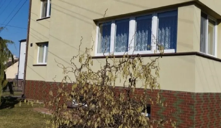 dom wolnostojący, 7 pokoi Pęczniew, ul. Dąbrowska