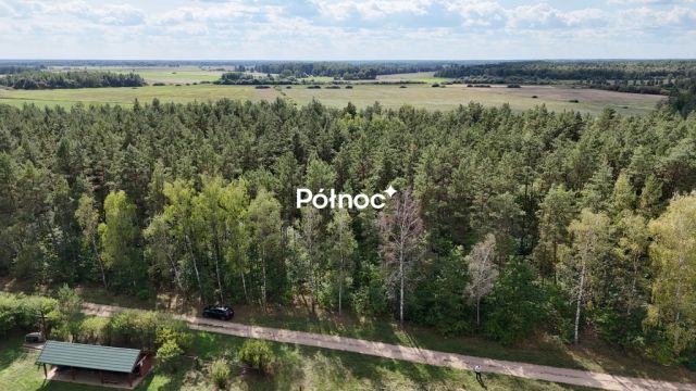 Działka leśna Pieńczykowo. Zdjęcie 6