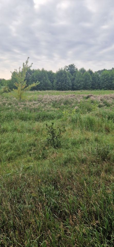Działka inwestycyjna Wągrowiec. Zdjęcie 5