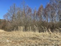 Działka rolna Zalesna. Zdjęcie 3