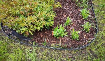 Działka rod Wrocław Fabryczna, ul. Francuska