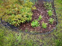 Działka rod Wrocław Fabryczna, ul. Francuska. Zdjęcie 1