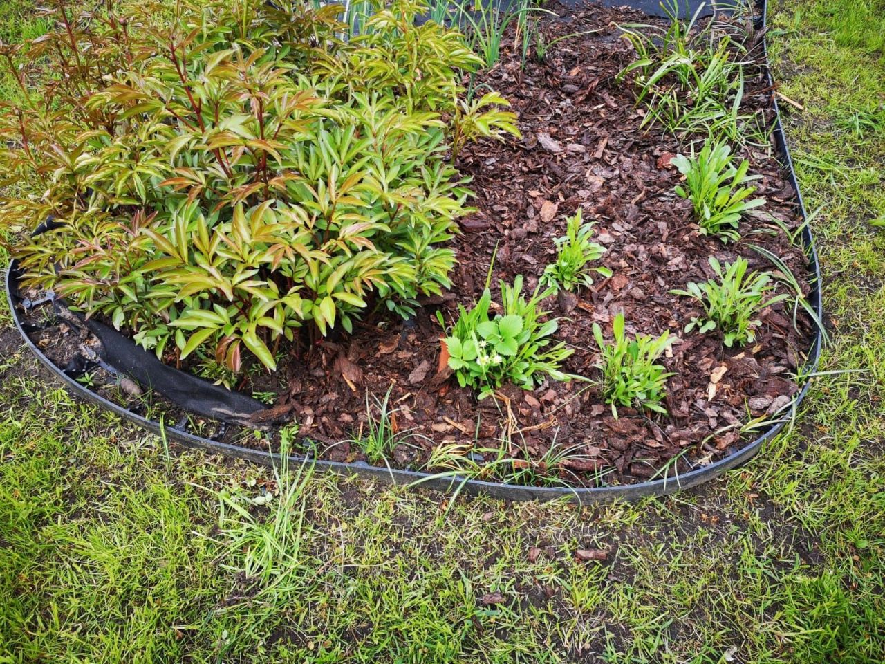 Działka rod Wrocław Fabryczna, ul. Francuska. Zdjęcie 2