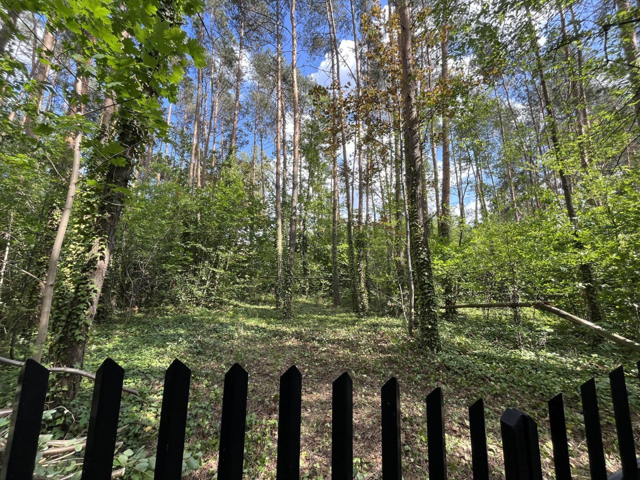 Działka rekreacyjna Rosanów Rosanów Podleśny, ul. Lipowa. Zdjęcie 2