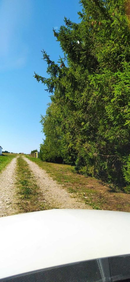 Działka budowlana Szalowa. Zdjęcie 8