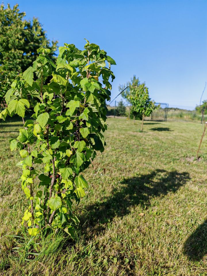 dom wolnostojący, 4 pokoje Mniszek. Zdjęcie 25