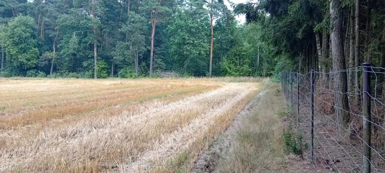 Działka budowlana Biała. Zdjęcie 2