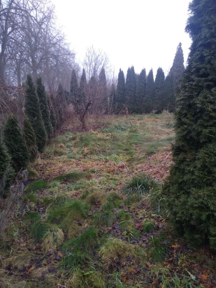 Działka rod Piła. Zdjęcie 2