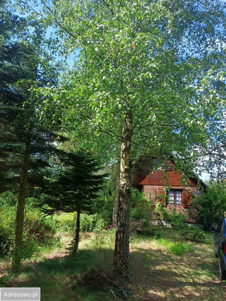 Działka rekreacyjna Łysobyki. Zdjęcie 4