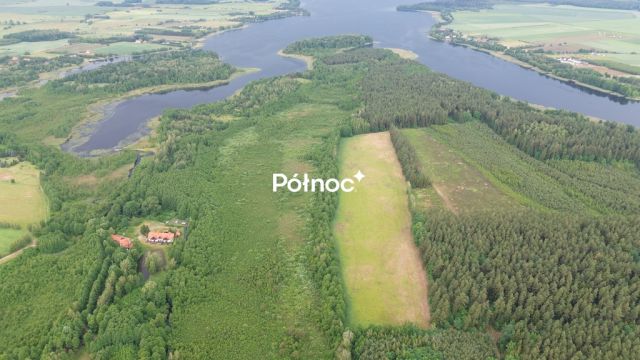Działka leśna Makosieje. Zdjęcie 1