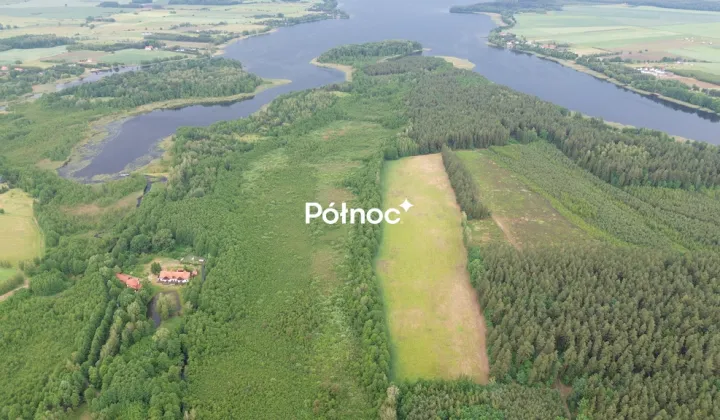 Działka leśna Makosieje