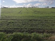 Działka siedliskowa Białogarda. Zdjęcie 3