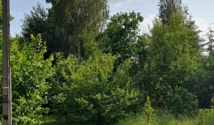 Działka budowlana Pionki, ul. Wesoła