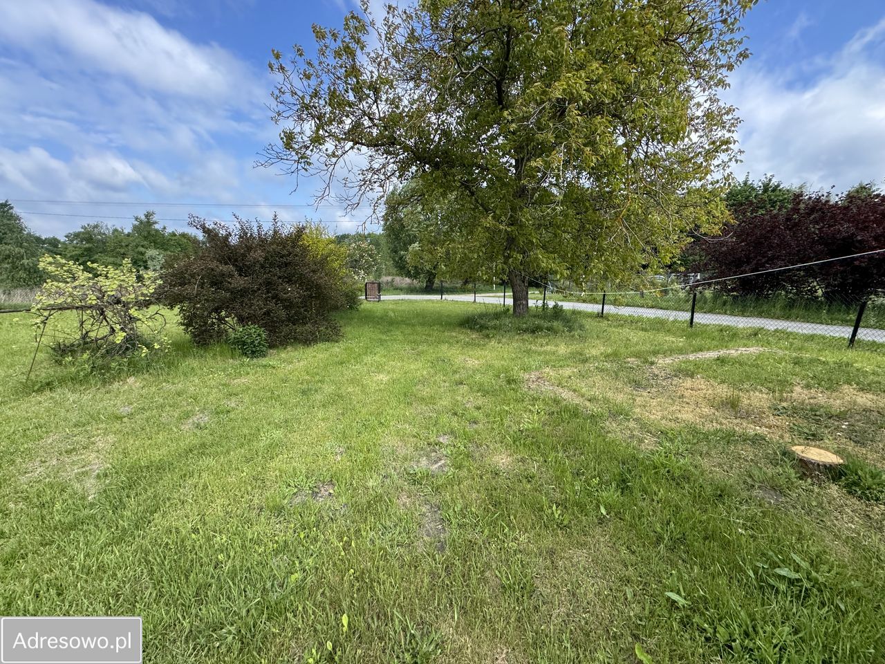 gospodarstwo, 3 pokoje Szafranów. Zdjęcie 6