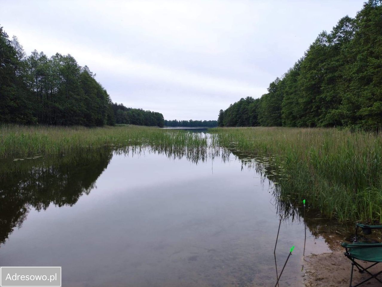 Działka rolna Rostki Skomackie. Zdjęcie 16