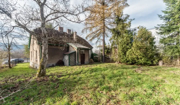 dom wolnostojący, 5 pokoi Bielsko-Biała, ul. Żywiecka