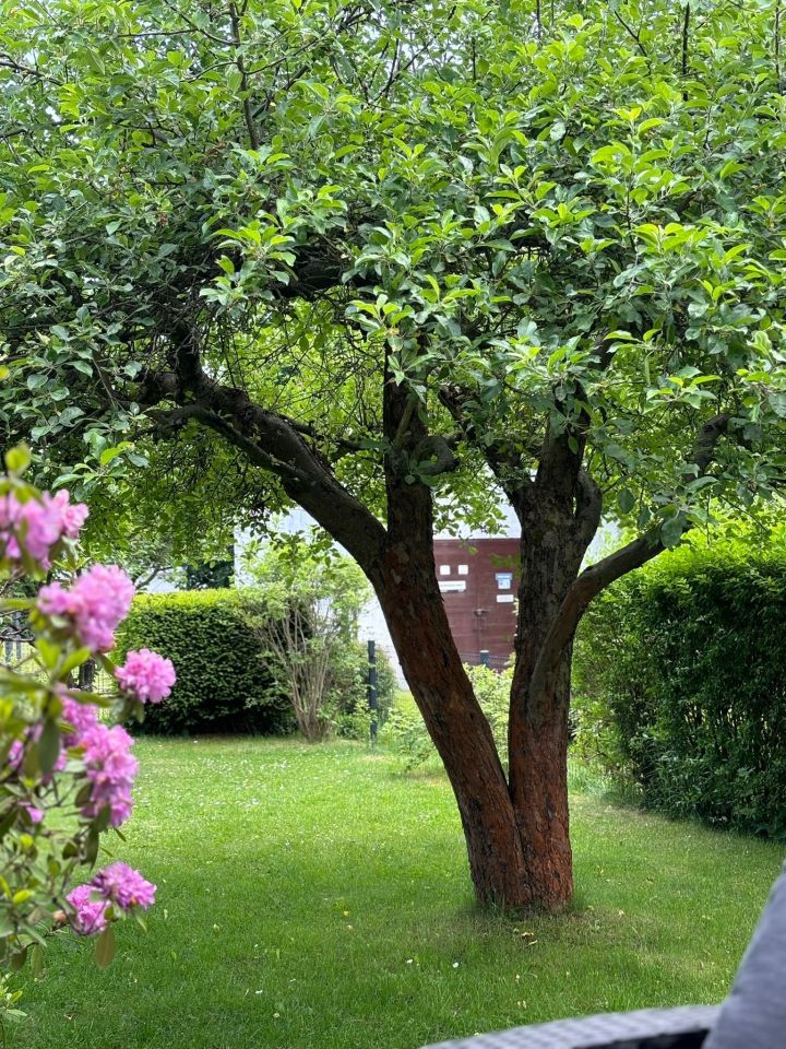 Działka rod Łagiewniki Nowe. Zdjęcie 3