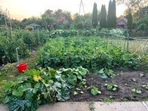 Działka rod Białystok Wygoda, ul. Krzysztofa Pendereckiego. Zdjęcie 1