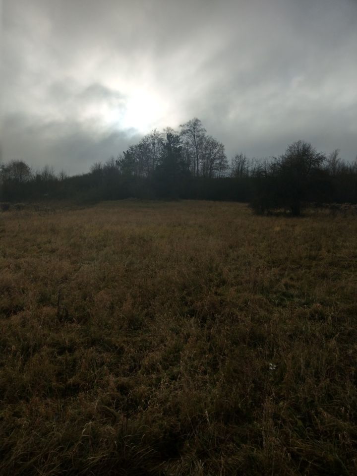 Działka rolno-budowlana Kostomłoty Pierwsze Stara Wieś, ul. Starowiejska. Zdjęcie 8