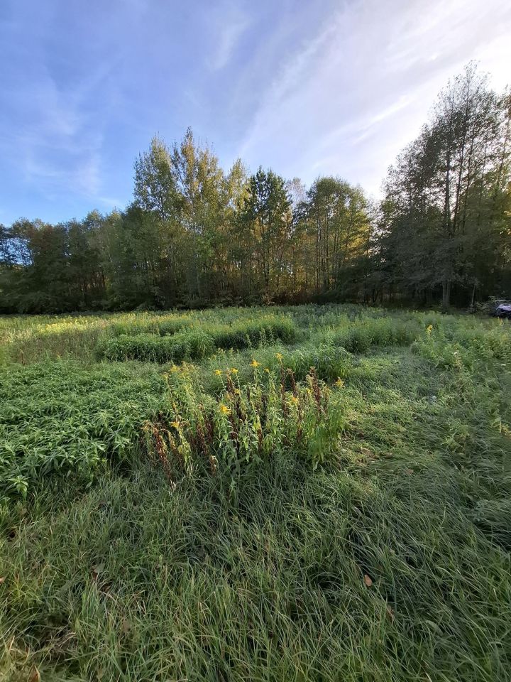 Działka rolno-budowlana Czarna Kolonia. Zdjęcie 3