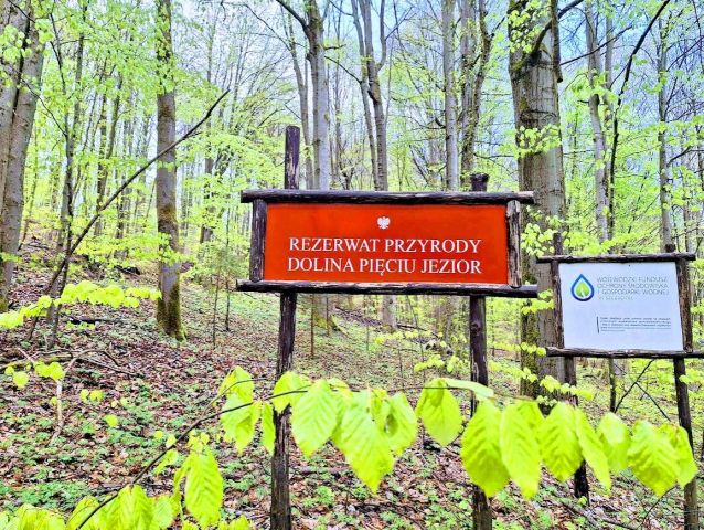 dom wolnostojący, 3 pokoje Czarnkowie. Zdjęcie 19