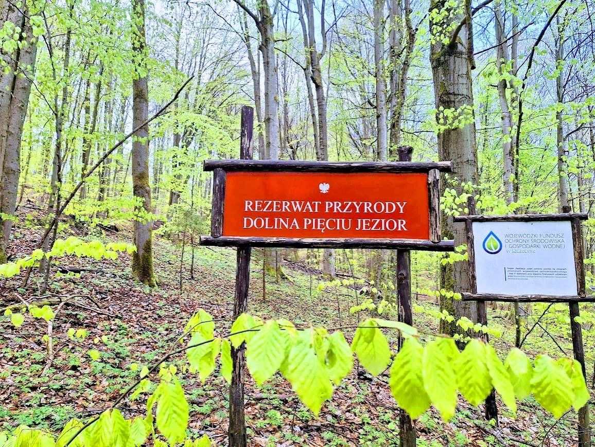 dom wolnostojący, 3 pokoje Czarnkowie. Zdjęcie 19