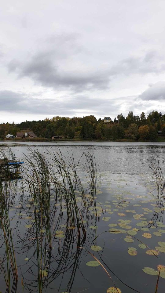 Działka rekreacyjna Kruszyny Szlacheckie. Zdjęcie 5