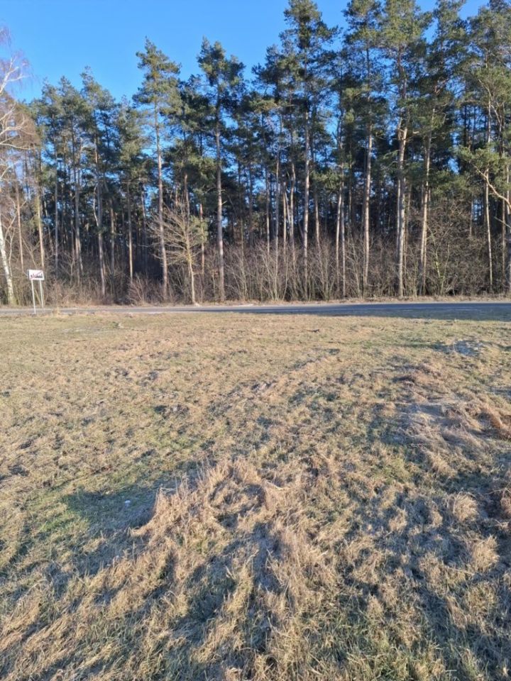 Działka budowlana Strzyżew, ul. Brzozowa. Zdjęcie 4