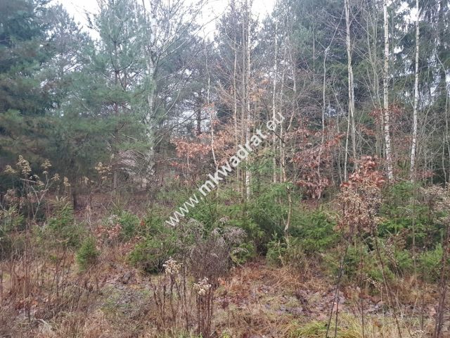 Działka budowlana Kuklówka Zarzeczna. Zdjęcie 3