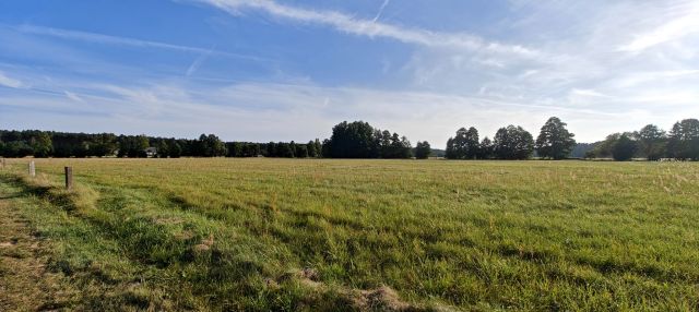 Działka budowlana Chojno-Błota Małe. Zdjęcie 1