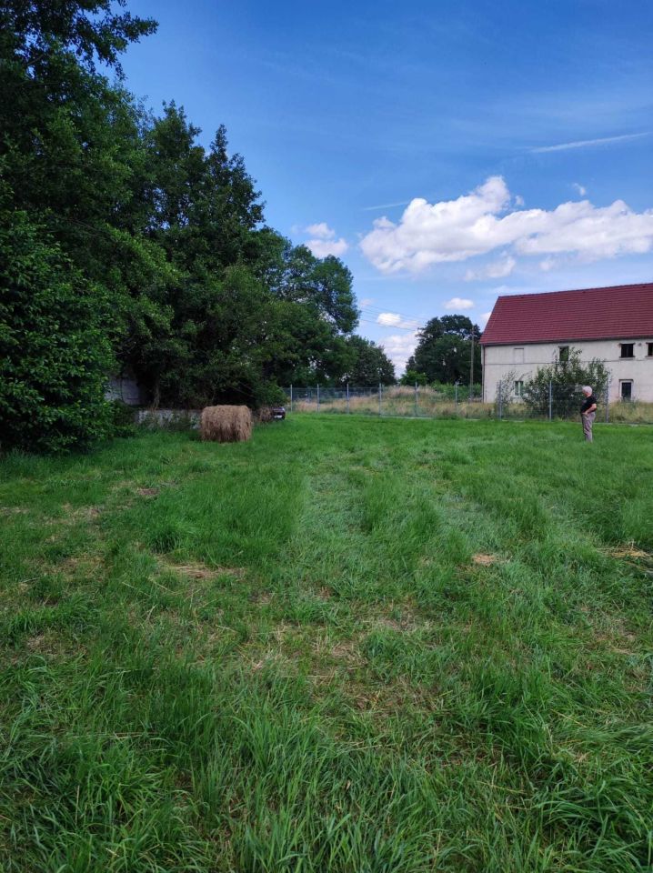 Działka rolno-budowlana Dobroszów Pieszków. Zdjęcie 3