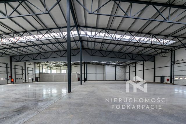 Hala/magazyn Rzeszów. Zdjęcie 6