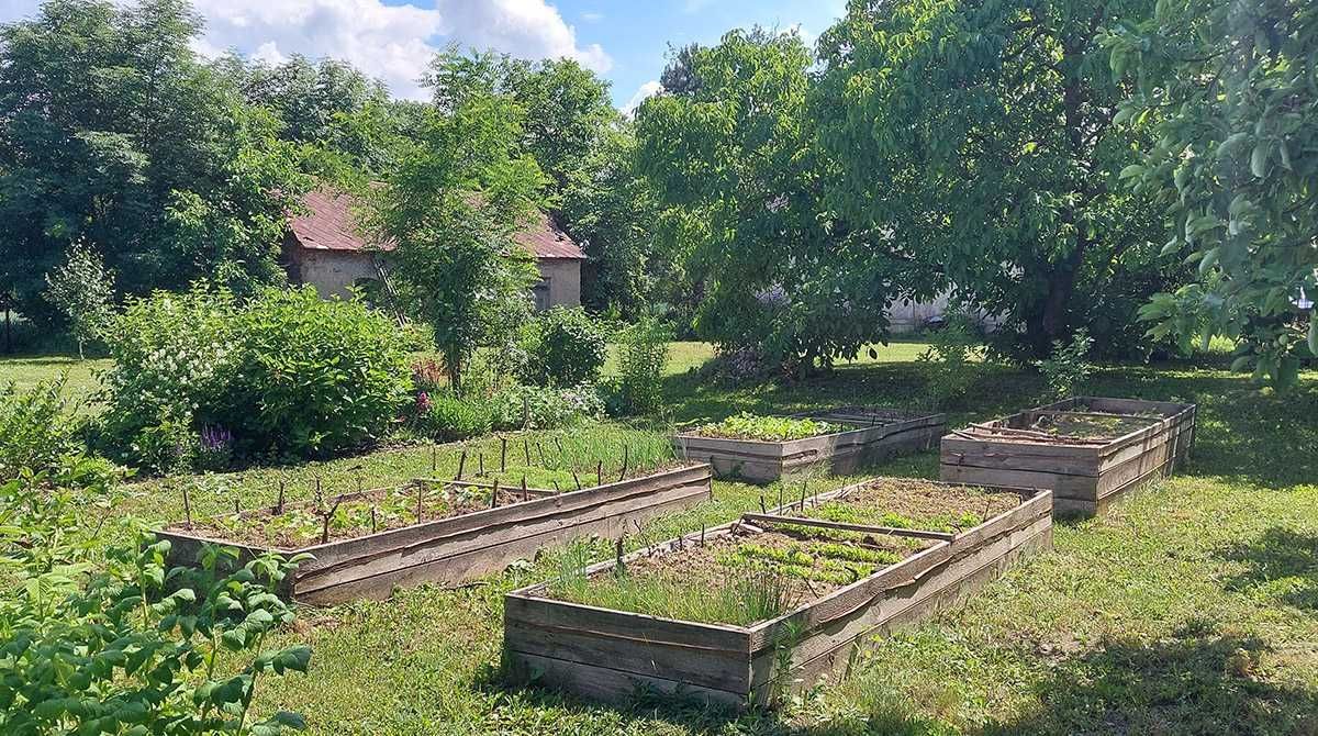 dom wolnostojący Śleszyn. Zdjęcie 4