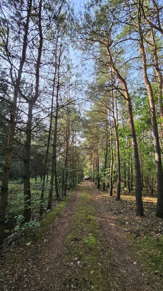 Działka rekreacyjna Popielżyn-Zawady. Zdjęcie 6