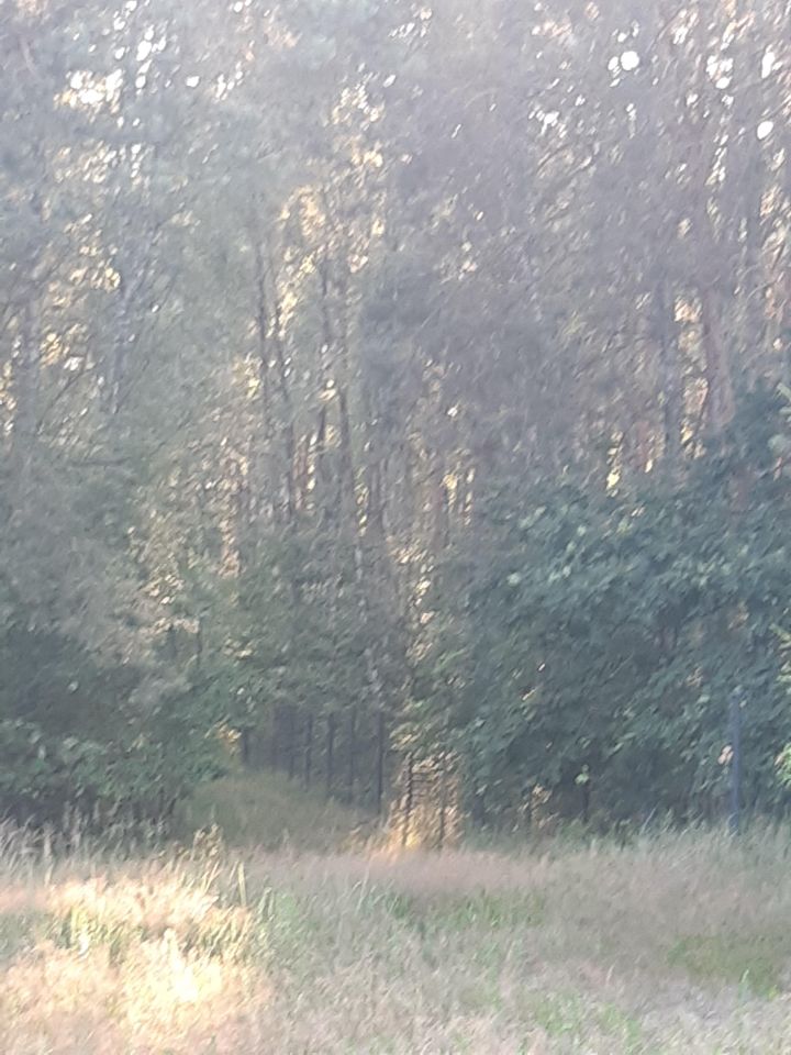 Działka budowlana Przyborowo, ul. Aladyna. Zdjęcie 5