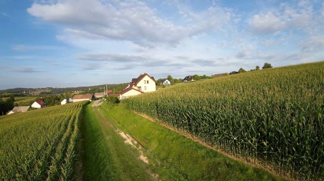 Działka budowlana Królówka. Zdjęcie 1