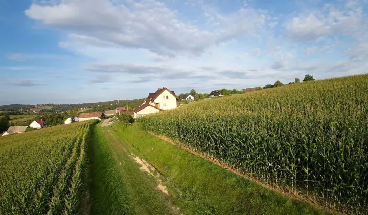 Działka budowlana Królówka