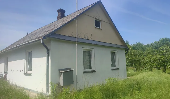 dom wolnostojący Osiny