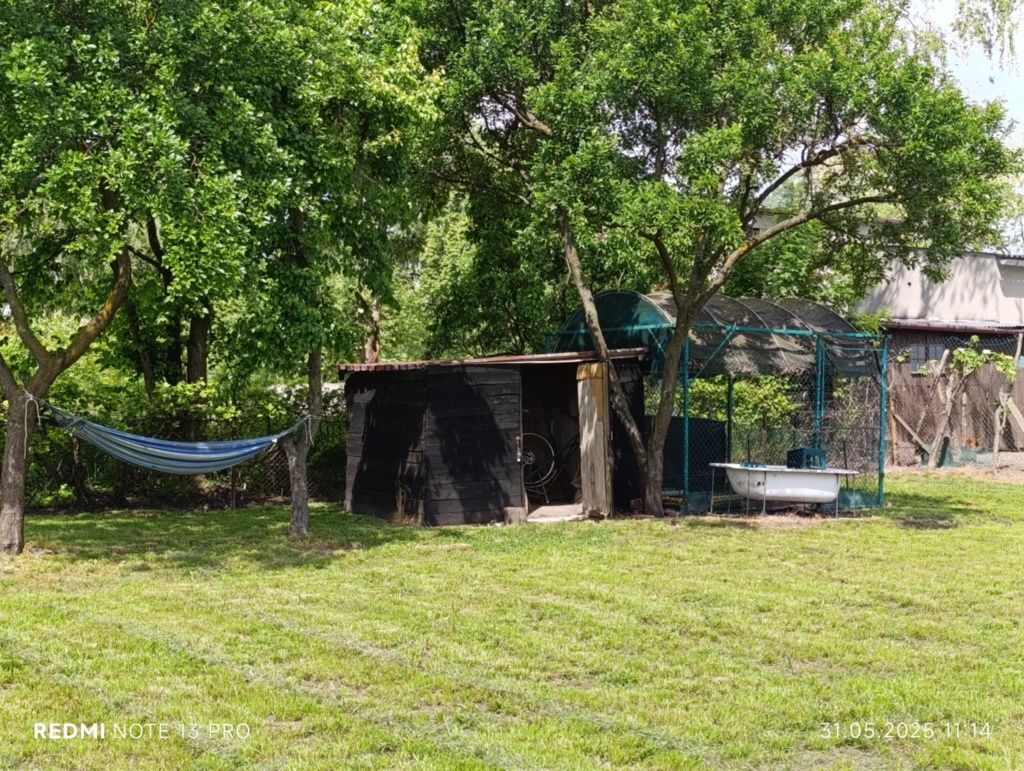 Działka rolno-budowlana Murzynko. Zdjęcie 4