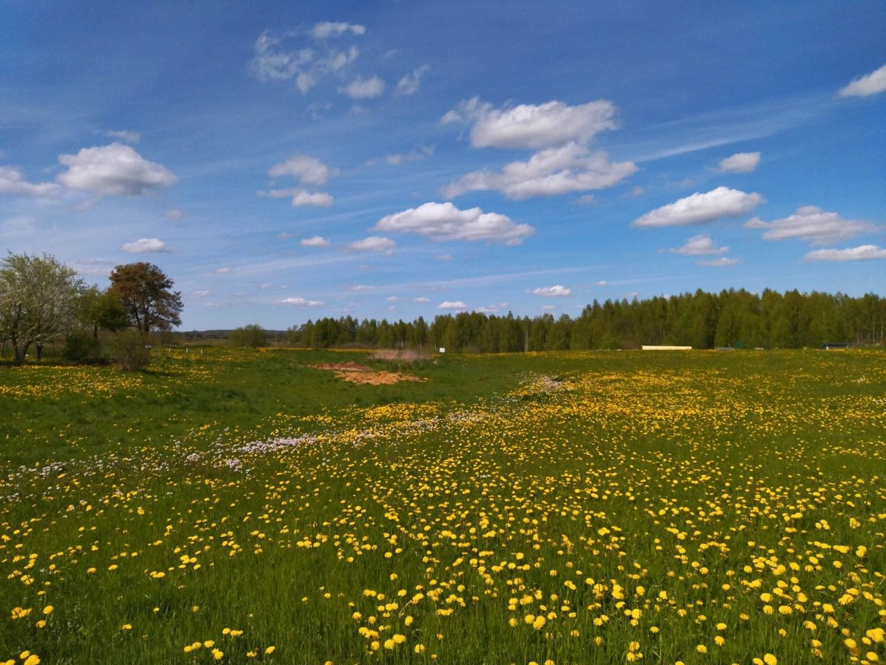 Działka rekreacyjna Raj. Zdjęcie 8