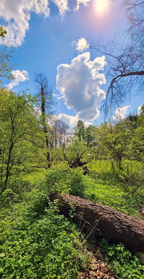 Działka Żerzyno. Zdjęcie 4