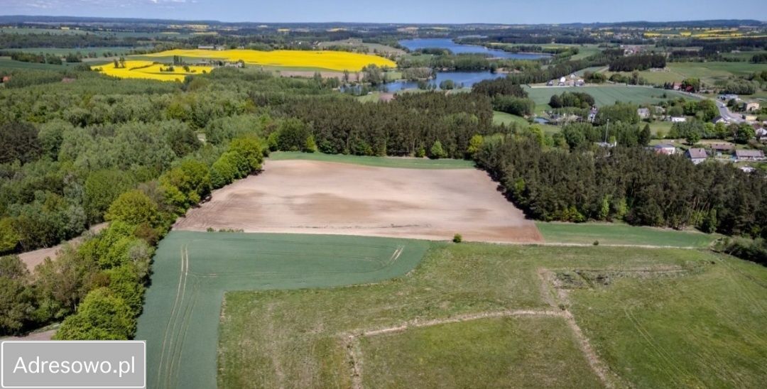 Działka budowlana Trzcińsk. Zdjęcie 3