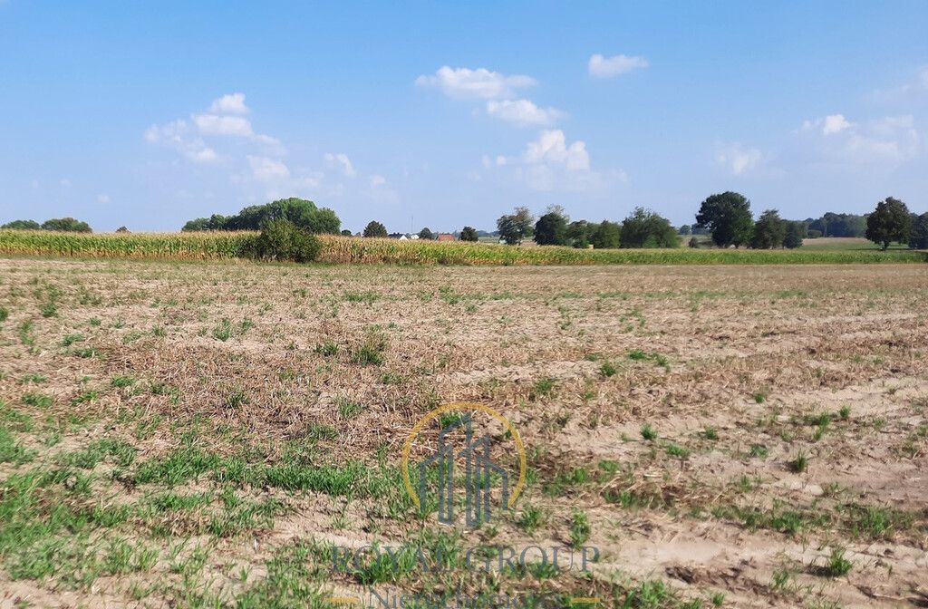 Działka rolna Rudno. Zdjęcie 4